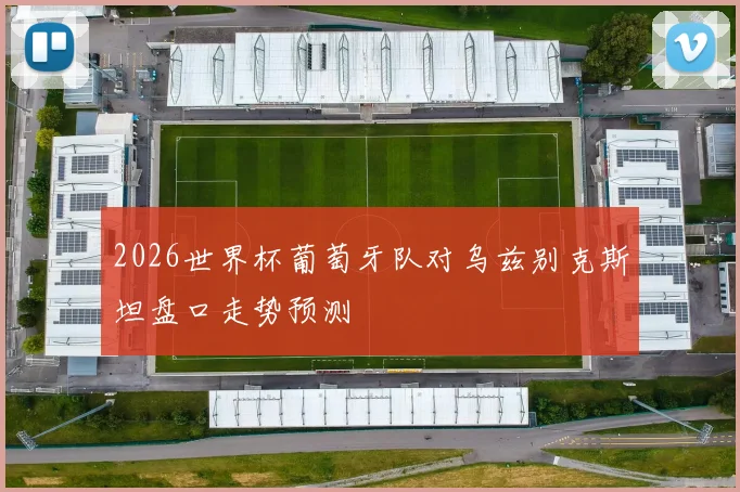 2026世界杯葡萄牙队对乌兹别克斯坦盘口走势预测
