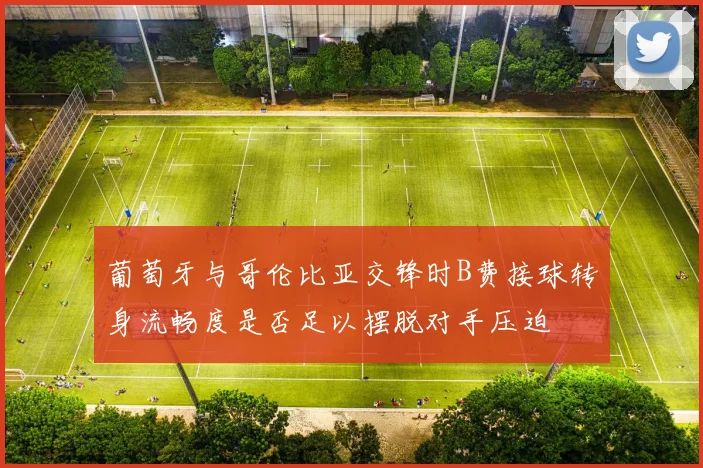 葡萄牙与哥伦比亚交锋时B费接球转身流畅度是否足以摆脱对手压迫
